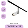 Трековый светильник MAYTONI ELTI TR005-2-12W3K-BW