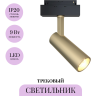 Трековый светильник MAYTONI FOCUS LED TR019-2-10W3K-MG
