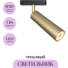Трековый светильник MAYTONI FOCUS LED TR019-2-7W3K-MG