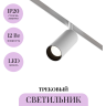 Трековый светильник MAYTONI FOCUS LED TR032-2-12W4K-S-W