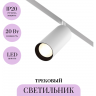 Трековый светильник MAYTONI FOCUS LED TR032-2-20W3K-S-W